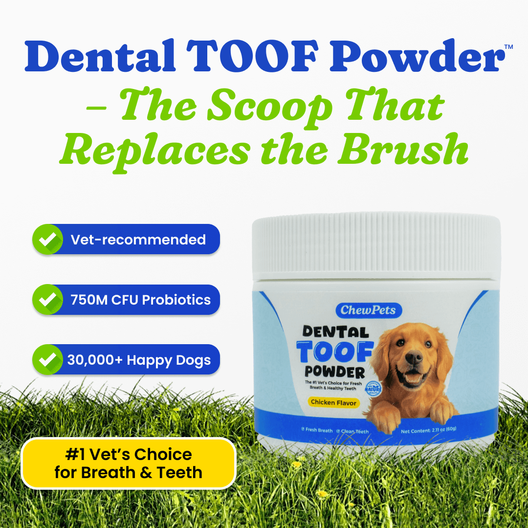 Dental Toof Powder™ – The Scoop That Replaces the Brush