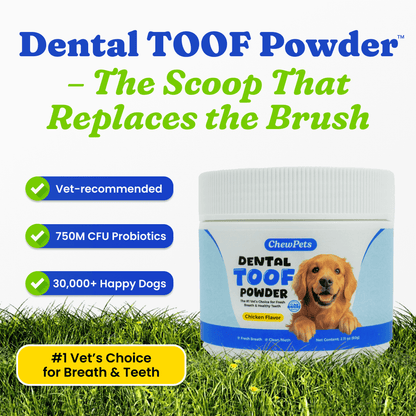 Dental Toof Powder™ – The Scoop That Replaces the Brush